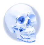 Maxilo Facial System